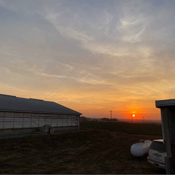 Meet your Posher, Avery - Picture 2 of 5